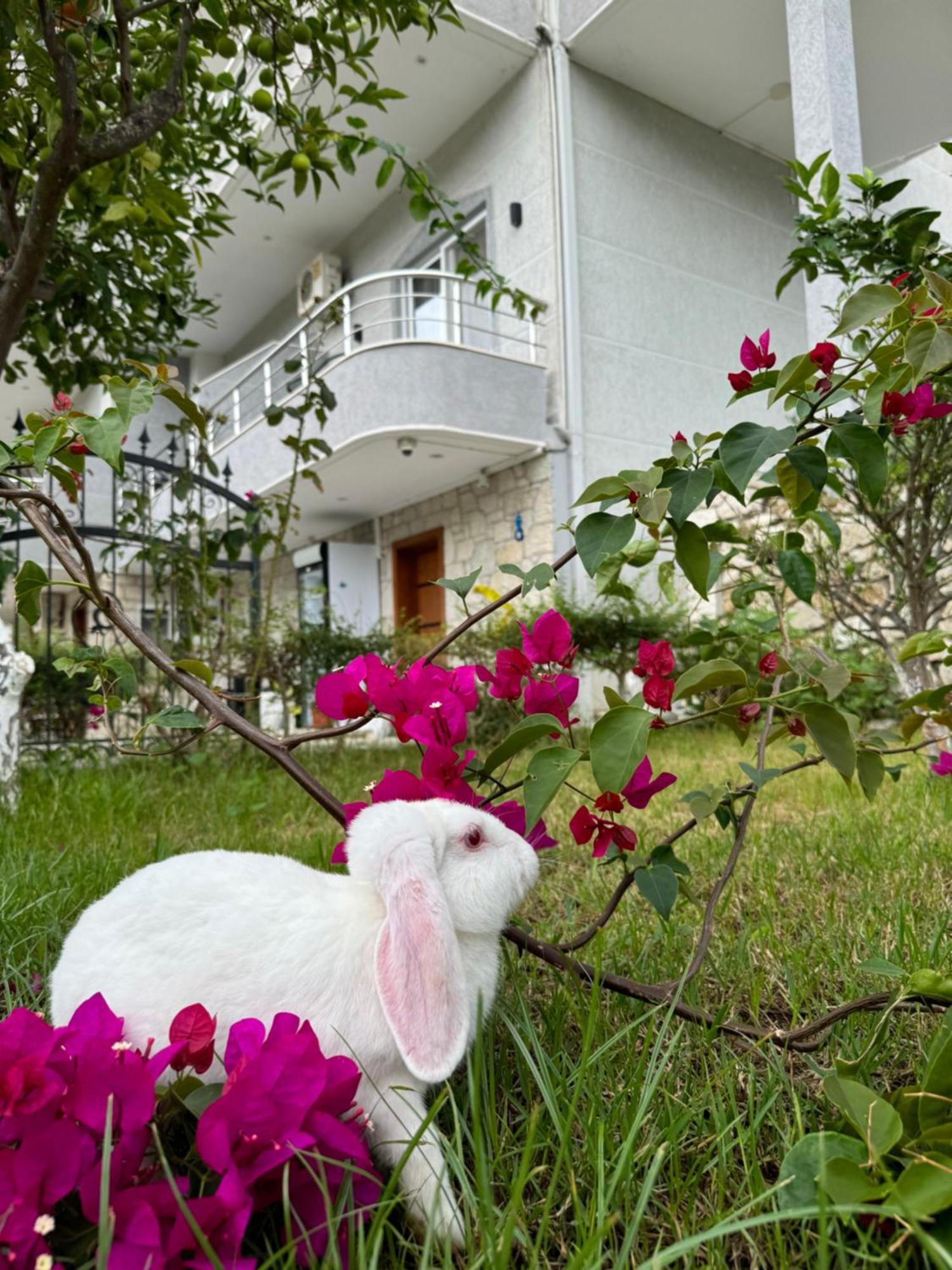 Villa Bodini Χειμάρρα Εξωτερικό φωτογραφία